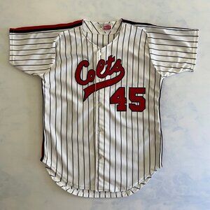 Vintage Houston Colts Number 45 Baseball Jersey